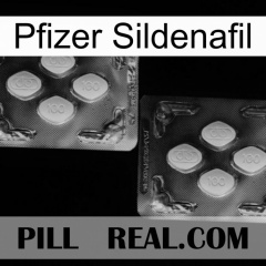 Pfizer Sildenafil 01